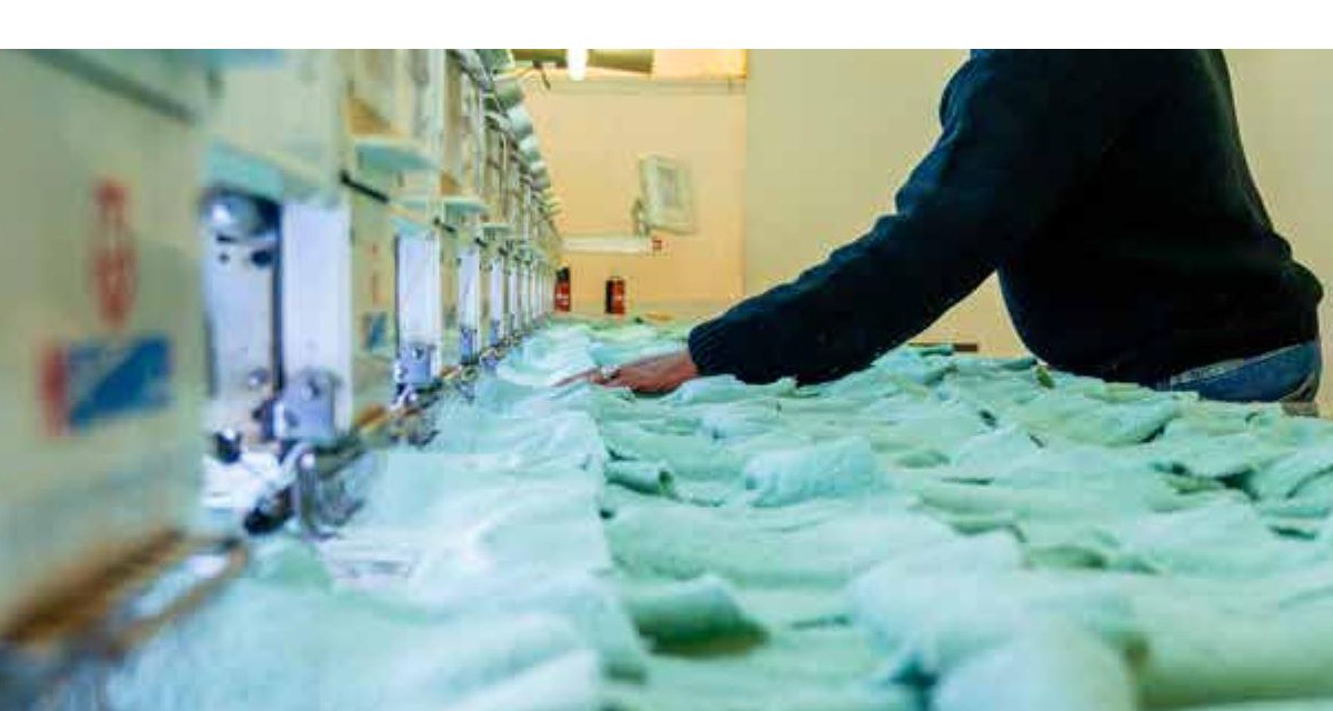 Circular economy textiles