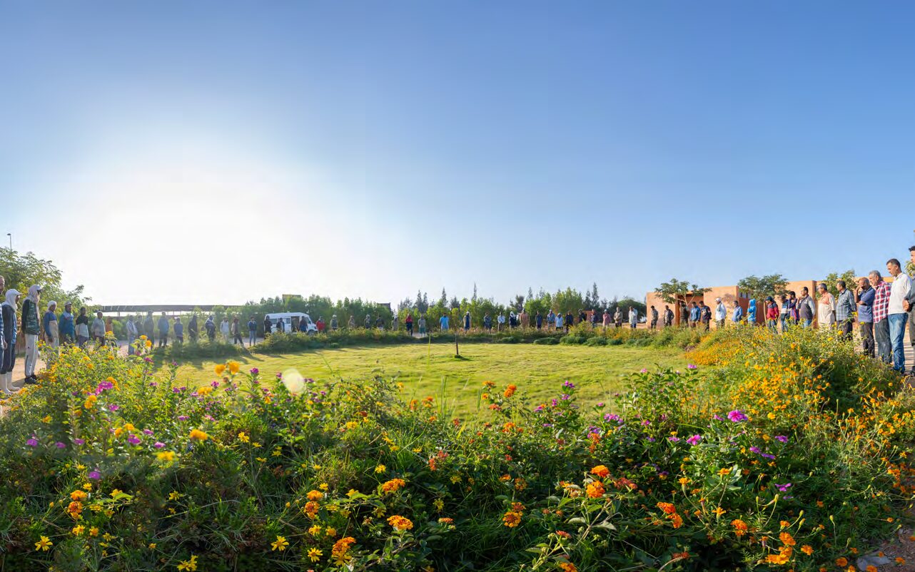 Biodynamic agriculture at SEKEM