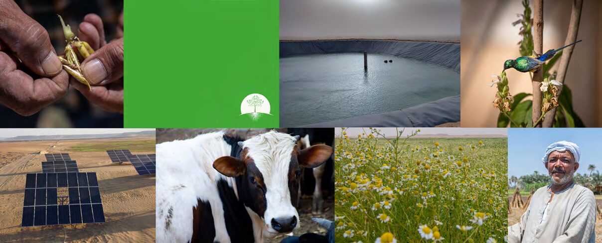 Water irrigation systems working in field