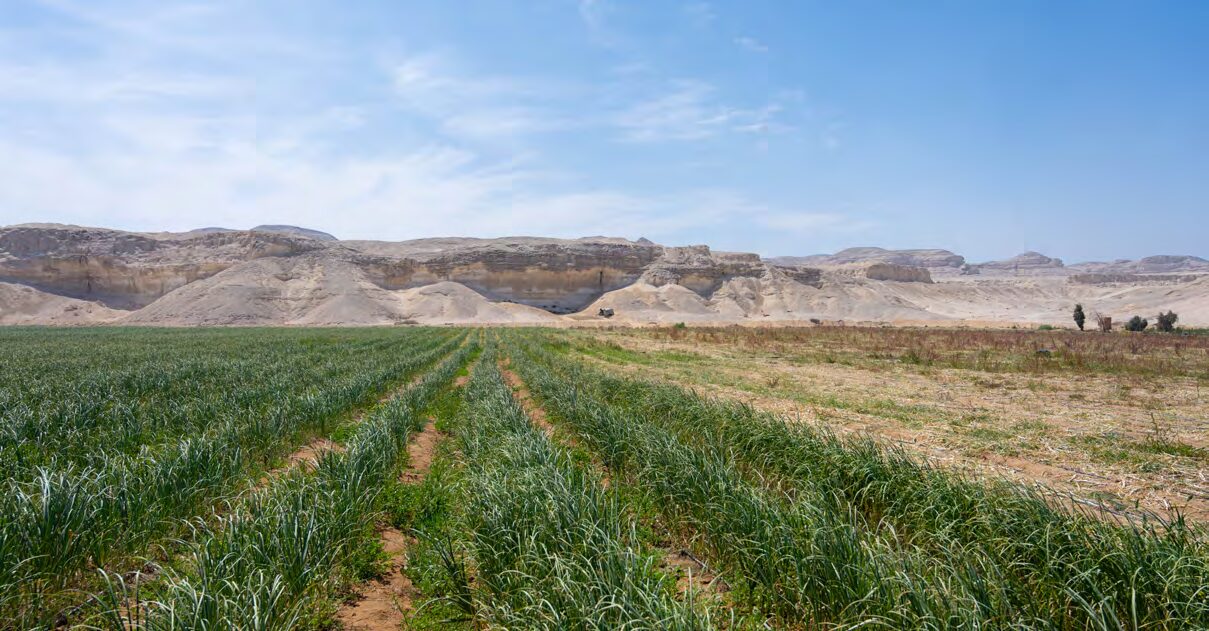 Biodynamic & Organic Agriculture