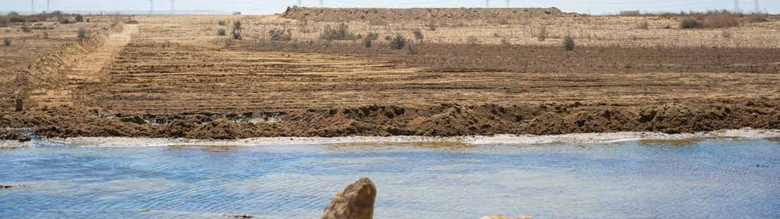 Water Management at SEKEM